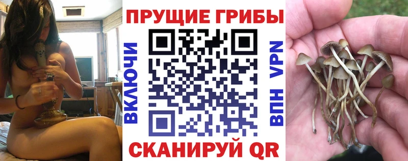 Галлюциногенные грибы прущие грибы Томилино
